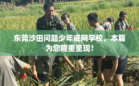 东莞沙田问题少年戒网学校，本篇为您隆重呈现！