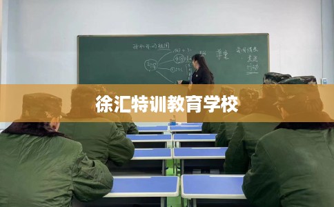 徐汇特训教育学校