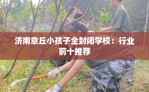 济南章丘小孩子全封闭学校：行业前十推荐