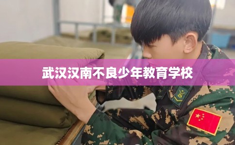 武汉汉南不良少年教育学校