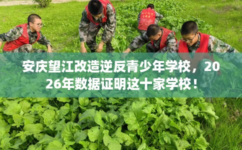安庆望江改造逆反青少年学校，2026年数据证明这十家学校！