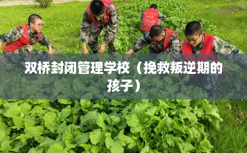 双桥封闭管理学校（挽救叛逆期的孩子）
