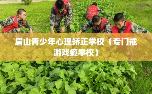 眉山青少年心理矫正学校（专门戒游戏瘾学校）