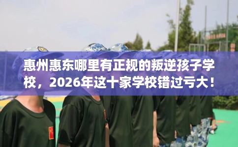 惠州惠东哪里有正规的叛逆孩子学校，2026年这十家学校错过亏大！