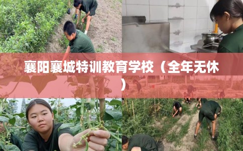 襄阳襄城特训教育学校（全年无休）