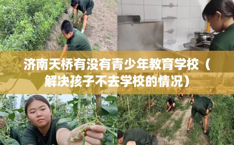 济南天桥有没有青少年教育学校（解决孩子不去学校的情况）