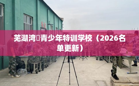 芜湖湾沚青少年特训学校（2026名单更新）