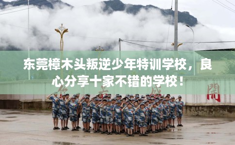东莞樟木头叛逆少年特训学校，良心分享十家不错的学校！