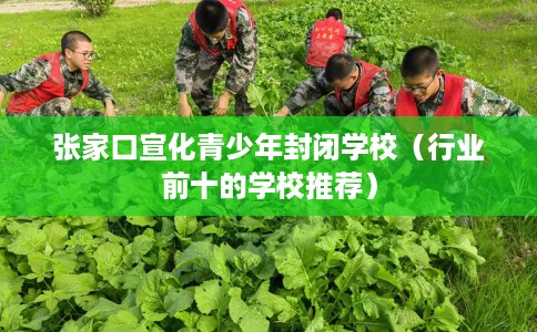 张家口宣化青少年封闭学校（行业前十的学校推荐）