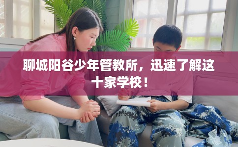 聊城阳谷少年管教所，迅速了解这十家学校！
