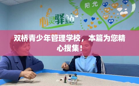 双桥青少年管理学校，本篇为您精心搜集！