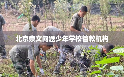 北京崇文问题少年学校管教机构