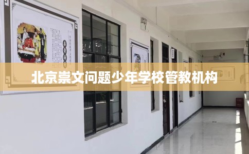 北京崇文问题少年学校管教机构