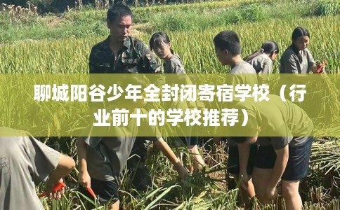 聊城阳谷少年全封闭寄宿学校（行业前十的学校推荐）
