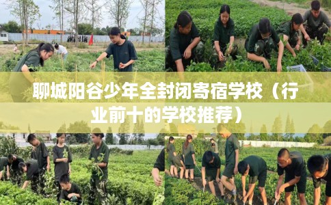 聊城阳谷少年全封闭寄宿学校（行业前十的学校推荐）