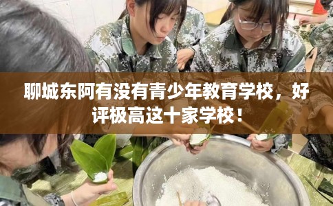 聊城东阿有没有青少年教育学校，好评极高这十家学校！