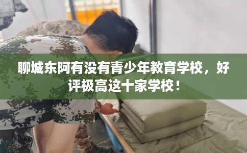 聊城东阿有没有青少年教育学校，好评极高这十家学校！