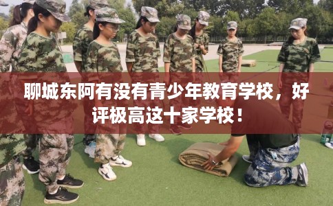 聊城东阿有没有青少年教育学校，好评极高这十家学校！