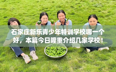 石家庄新乐青少年特训学校哪一个好，本篇今日隆重介绍几家学校！