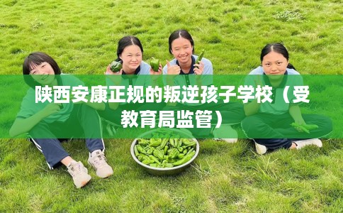 陕西安康正规的叛逆孩子学校（受教育局监管）