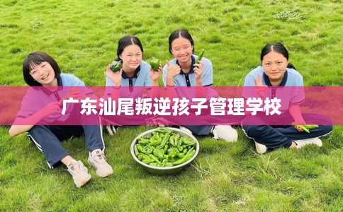 广东汕尾叛逆孩子管理学校 广东汕尾叛逆孩子管理学校