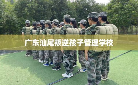 广东汕尾叛逆孩子管理学校 广东汕尾叛逆孩子管理学校