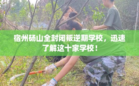 宿州砀山全封闭叛逆期学校，迅速了解这十家学校！