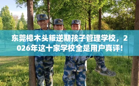 东莞樟木头叛逆期孩子管理学校，2026年这十家学校全是用户真评!