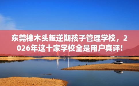 东莞樟木头叛逆期孩子管理学校，2026年这十家学校全是用户真评!