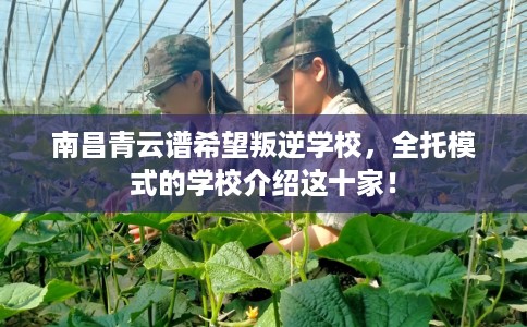 南昌青云谱希望叛逆学校，全托模式的学校介绍这十家！