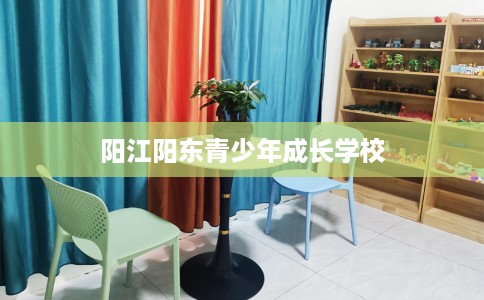 阳江阳东青少年成长学校