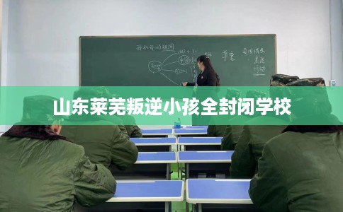 山东莱芜叛逆小孩全封闭学校