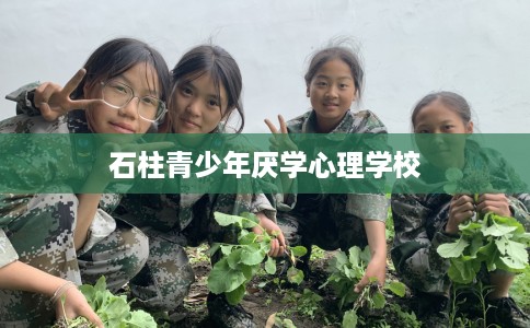 石柱青少年厌学心理学校