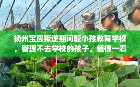 扬州宝应叛逆期问题小孩教育学校，管理不去学校的孩子，值得一看！