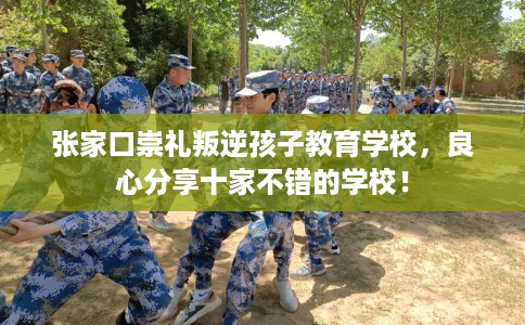 张家口崇礼叛逆孩子教育学校，良心分享十家不错的学校！