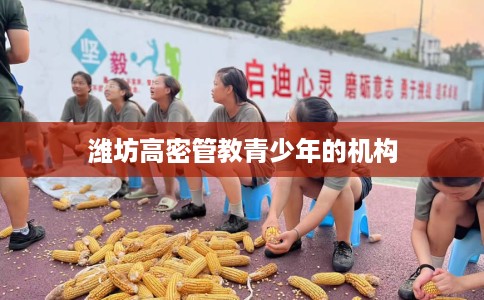 潍坊高密管教青少年的机构