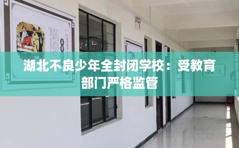 湖北不良少年全封闭学校：受教育部门严格监管