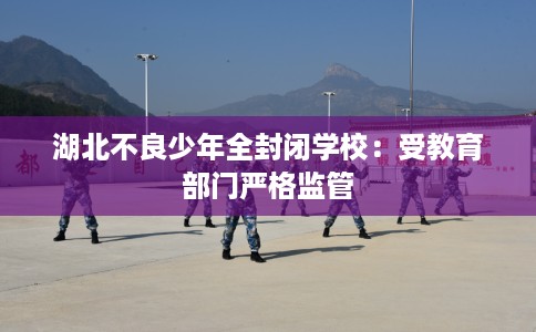 湖北不良少年全封闭学校：受教育部门严格监管