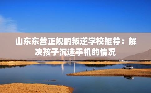 山东东营正规的叛逆学校推荐：解决孩子沉迷手机的情况
