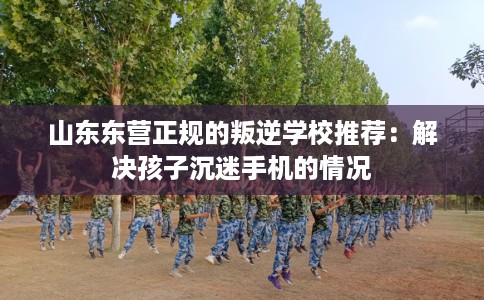 山东东营正规的叛逆学校推荐：解决孩子沉迷手机的情况