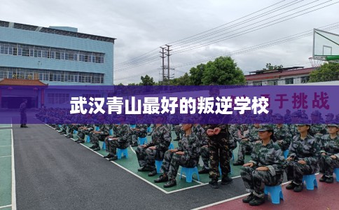 武汉青山最好的叛逆学校