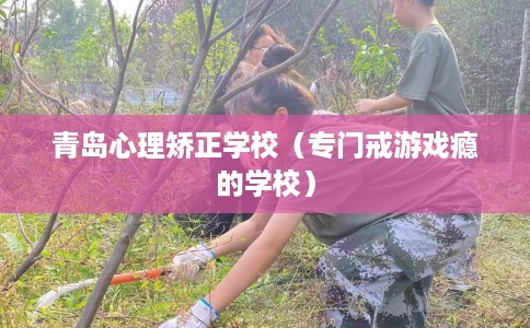 青岛心理矫正学校（专门戒游戏瘾的学校）
