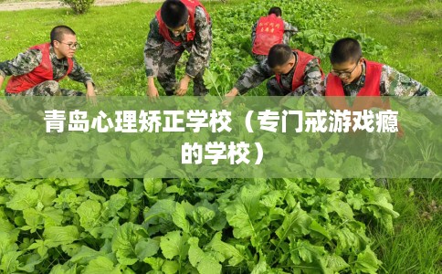 青岛心理矫正学校（专门戒游戏瘾的学校）