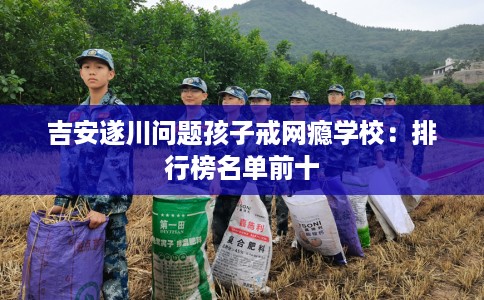 吉安遂川问题孩子戒网瘾学校：排行榜名单前十