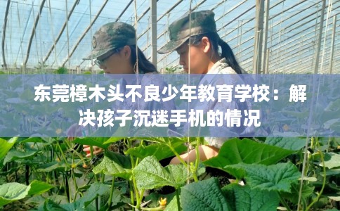 东莞樟木头不良少年教育学校：解决孩子沉迷手机的情况