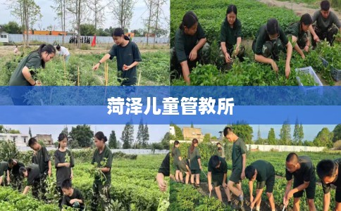 菏泽儿童管教所