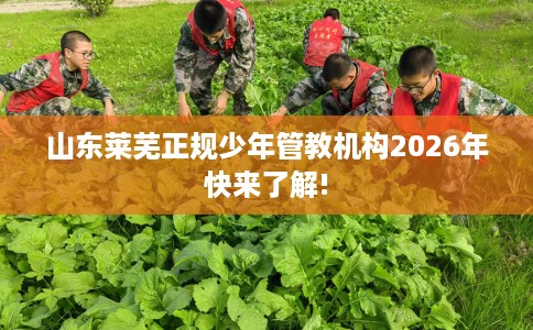山东莱芜正规少年管教机构2026年快来了解!