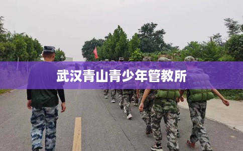 武汉青山青少年管教所