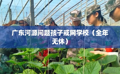 广东河源问题孩子戒网学校(全年无休) 广东河源问题孩子戒网学校(全年无休)