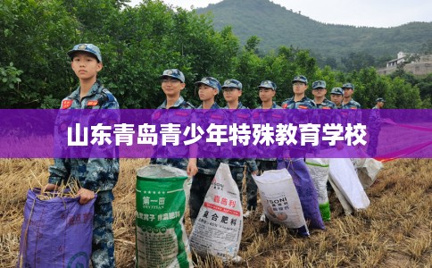 山东青岛青少年特殊教育学校